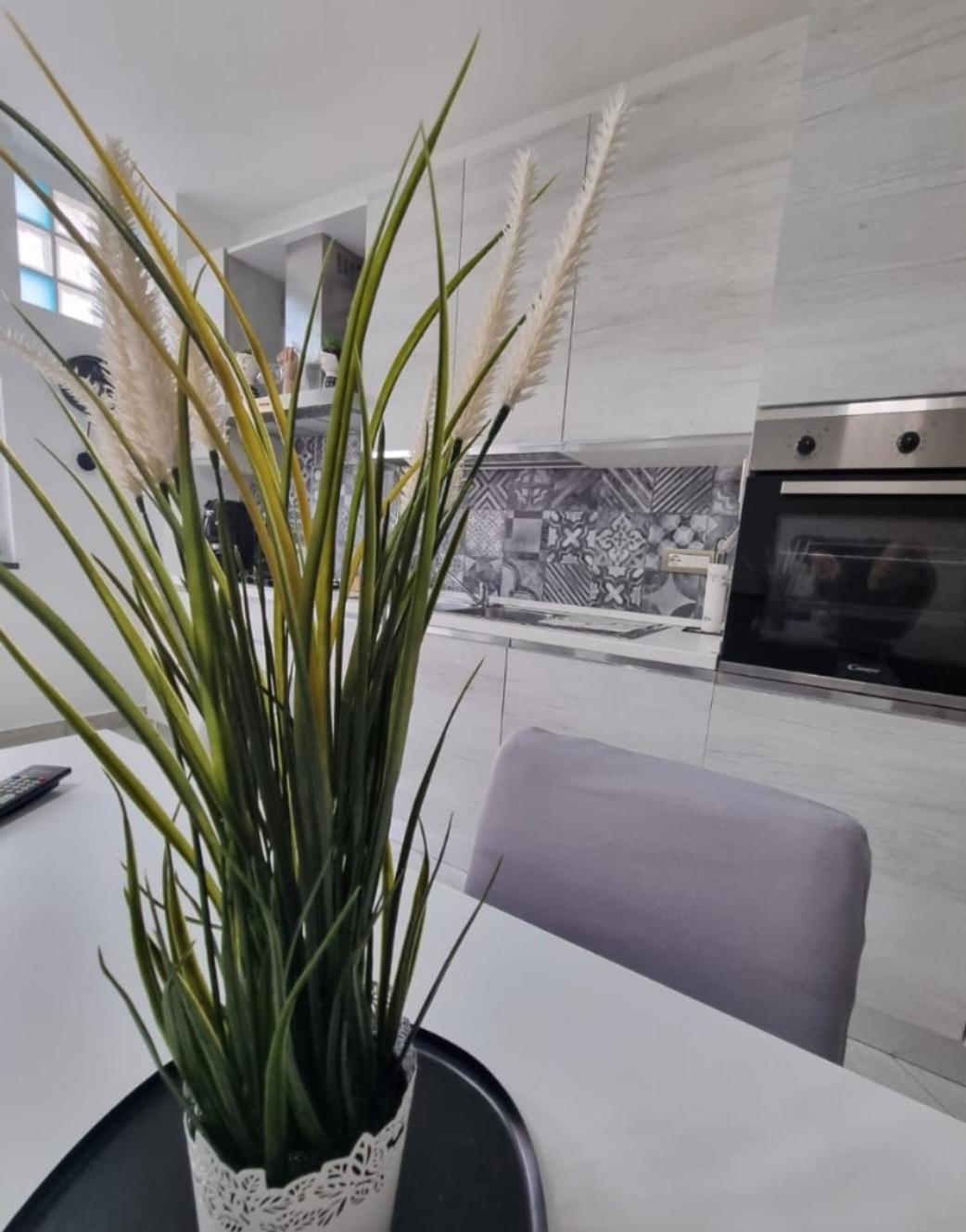 Home Santa Chiara Marigliano Dış mekan fotoğraf